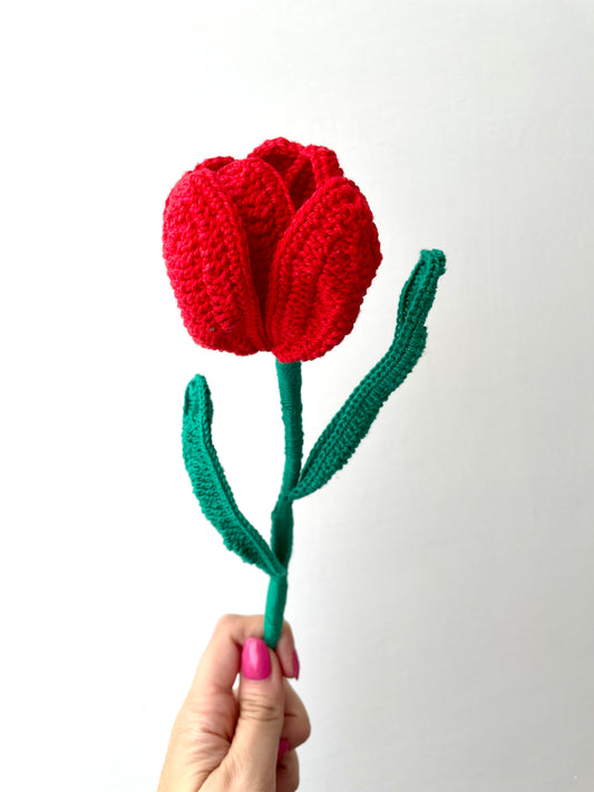 Tulipano