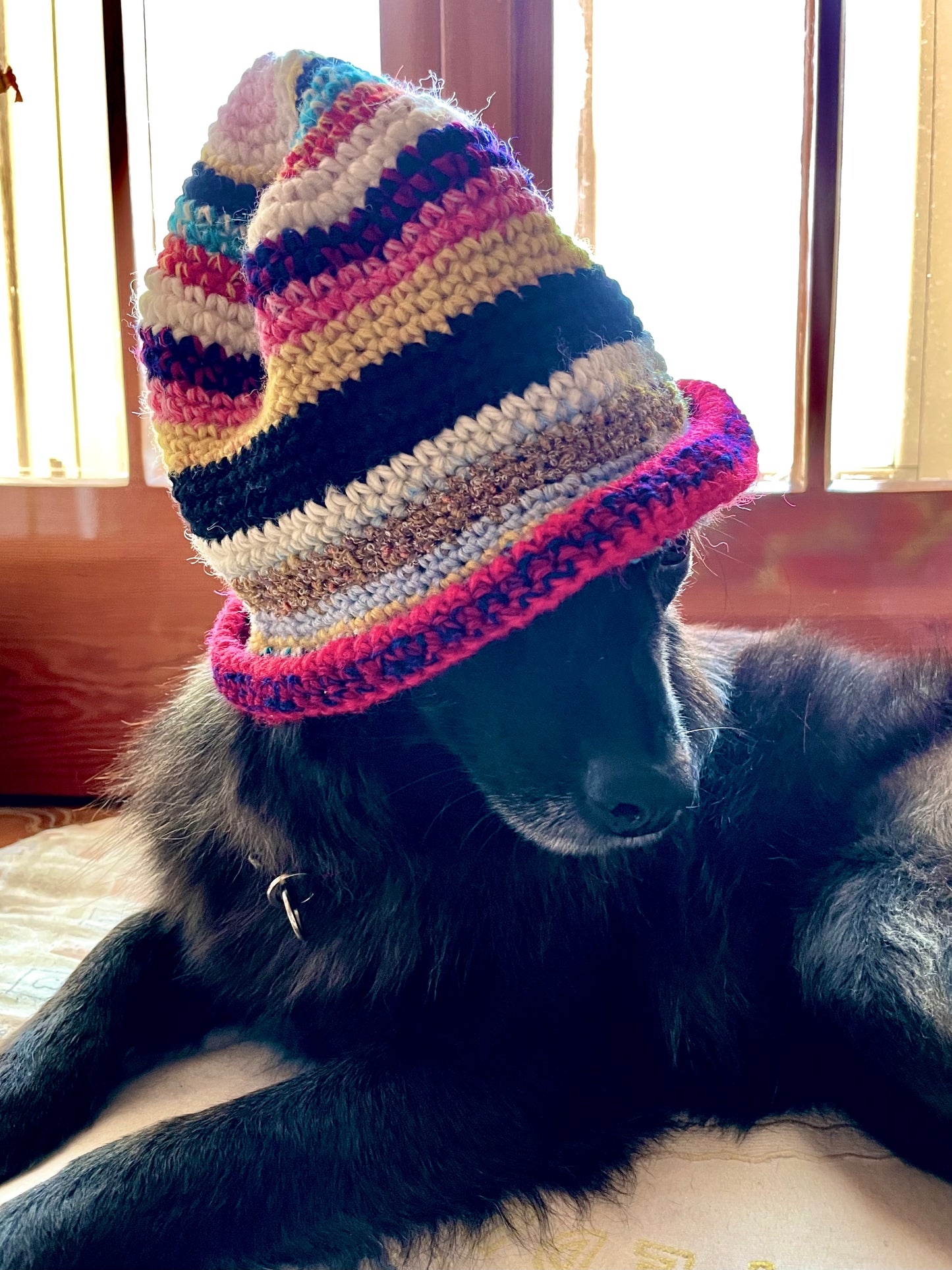 Multicolor Hat